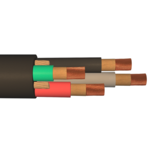 Type W Multiconductor + TRANS BCK